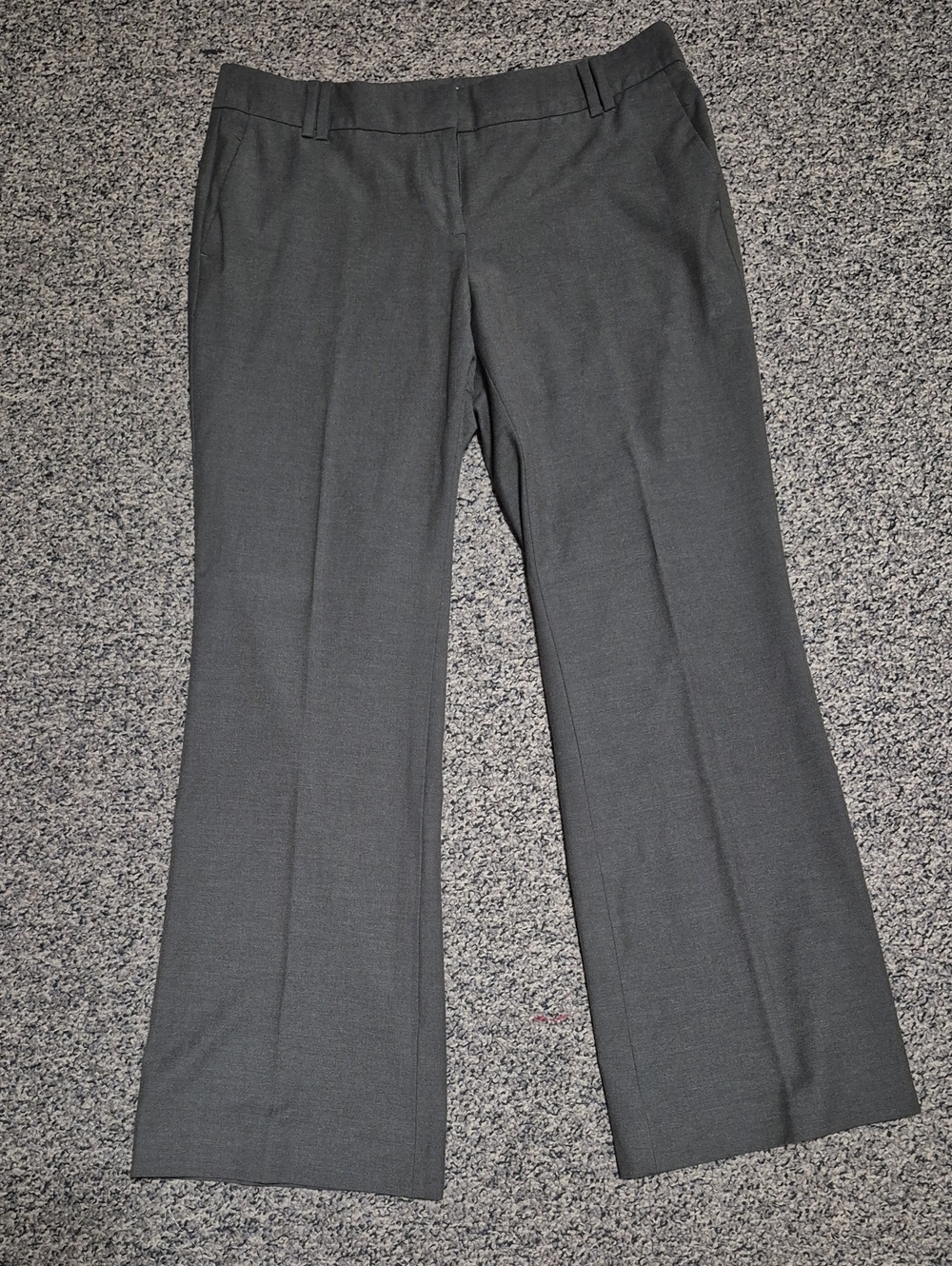 LOFT Dark Olive/Brown Women's Dress Pants